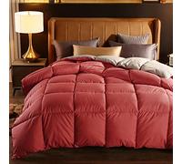 BOtizr Duvet,Hotel King Size Duvet,Kingsize Duvet Cover Sets,Spring/Autumn/Winter Single Double Warm Lightweight Down Comforter,E,220x240cm (3kg)