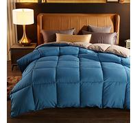 BOtizr King Size Duvet, Double 10.5 Quilt, Spring/Autumn/Winter Warm Lightweight Down Comforter, J, 180x220cm (4kg)
