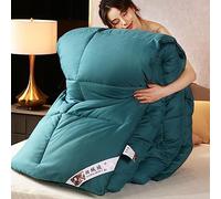 BOtizr Quilt Cover Double,Natural White Down Duvet,Single Duvet,Spring/Autumn/Winter Single Double Warm Lightweight Down Comforter,P,150x200cm (3kg)