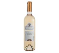 Bottega Pinot Grigio Venezia DOC - 750 ml