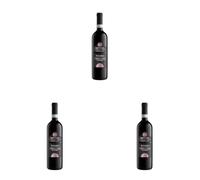 Bottega Ripasso Valpolicella DOC Superiore Italian Red Wine - 750 ml (Pack of 3)