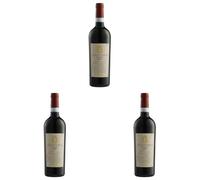 Bottega Venedika Rosso Venezia DOC Italian Red Wine - 750 ml (Pack of 3)