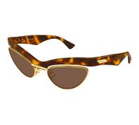 Bottega Veneta BV1480S 004 Woman Sunglasses Bio-injected Havana Brown Cat Eye
