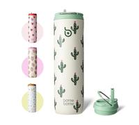 Bottle Bottle Stainless Steel Water Bottle 700ml with Straw and Lid Sports Insulated Metal Water Bottles with Handle(Stellar Pop)