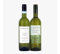 Bottle In A Box Italian Pinot Grigio Duo Set