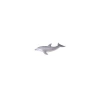 Bottlenose Dolphin
