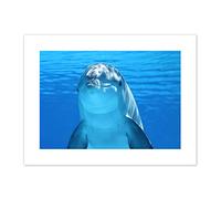 Bottlenose Dolphin Smiling Canvas Wall Art Print