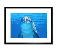 Bottlenose Dolphin Smiling Framed Wall Art Print