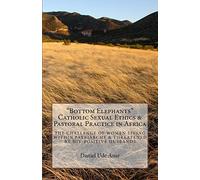 "Bottom Elephants" - Catholic Sexual Ethics & Pastoral Practice in Africa: The Challenge of Women Living within Patriarchy & Threatened by HIV-Positive Husbands
