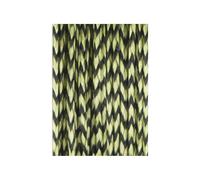 Bottom line braid Carp Spirit 20 m Marron 6,80 kg