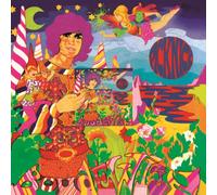 Boudewijn de Groot - Picknick [Vinyl]