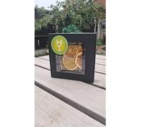 Boujee Dehydrated Citrus Slices Premium Garnishes 40+ Piece Small Box 100% Natural Sugar Free Dried Citrus Wheels For Cocktails,Mocktails Garnishes,Deserts,Soap Making/Fruit Slices