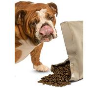 Bounce and Bella Complete Hypoallergenic Dry Dog Food - Freshly Prepared Beef, Sweet Potato & Peas - Grain Free for Dogs with Sensitive Stomachs, 2kg