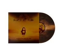 Bound in Fear - A Mind Too Sick To Heal [VINYL]