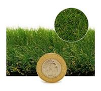Boundary 30mm Outdoor Artificial Grass,pet-Friendly Outdoor Artificial Grass-13M(42'7") X 4M(13'1")-52M²