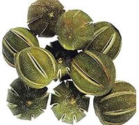 Bountiful Harvest 250g Whole Dried Green Oranges Ideal for Wreath decoration or decorative Pot Pourri