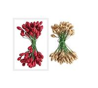 Bountiful Harvest 50 High Gloss Plaster Berries Double Ended (50 red and 50 gold)