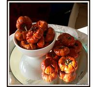 Bountiful Harvest Decorative Fruits for Christmas Decorations and Wreaths (All Fruits (Dried Mini Pumpkins, 250g)