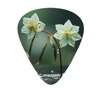Bouquet of Daffodils Print Guitar Pick,12 Pack,Includes Thin,Medium,Heavy Gauges,Suitable for guitar,ukulele