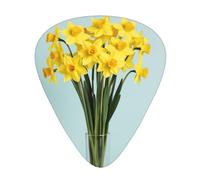 Bouquet of Daffodils Print Guitar Pick for Men Women Triangle Instrument Accessories Plectrums(12pcs One sided)