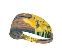 Bouquet Of Daffodils Print,Sports Sweatband for Unisex Multi Headband Elastic Exercise Hairband