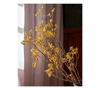 Bouquet Of Golden Preserved Flowers Kangaroo Paw Dry Branches Natural Plant Dried Flower Bouquets Kangaroo Paw Dried Flower Branches And Immortal Flowers Floral Arrangement