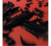 Bourbon Princess - Black Feather Wings