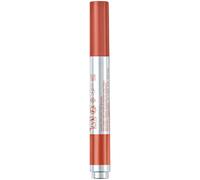 Bourjois Butter Tint Glaze Nº05 Caramel Flambé 2g Lip Balm
