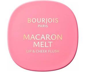 Bourjois Paris Macaron Melt Blush for Cheeks and Lips 8g 1-Honey