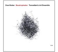 Boustrophedon by Evan Parker
