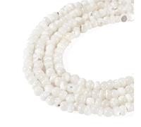 Boutigem 180Pcs Natural Trochus Shell Beads Strands White Round Freshwater Shell Beads for Summer Bracelet Necklace Jewelry Making DIY Crafts