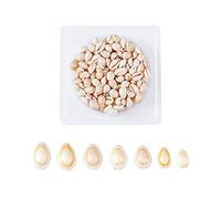 Boutigem Natural Oval Cowrie Shell Beads for Jewelry Making DIY Bracelet Necklace Beach Home Vase Fish Tank Decor Craft About 120pcs/box