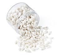 Boutigem Natural Trumpet Shell Beads White Mini Spiral Shell Beads for Bracelet Jewelry Making Fish Tank Vase Filler Decor About 400pcs