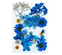 Boutihao Blue Dried Pressed Flowers, 10 Types 37 PCS Real Nature Flowers Herb Set, for DIY Jewelry Making Nail Card Scrapbook Art Craft Eternity Summer Soap Making Phone Case