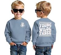 BOUTIKOME 3rd Birthday Boys Sweatshirt Young WILD Three Print Pullover Siblings Kids Long Sleeve Shirt Baby Outfits Third Birthday Jumper Autumn Winter Baby Clothing, lightblue, 3 Jahre