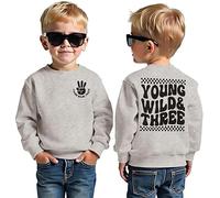 BOUTIKOME 3rd Birthday Boys Sweatshirt Young WILD Three Print Pullover Siblings Kids Long Sleeve Shirt Baby Outfits Third Birthday Jumper Autumn Winter Baby Clothing, gray, 3 Jahre