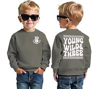 BOUTIKOME 3rd Birthday Boys Sweatshirt Young WILD Three Print Pullover Siblings Kids Long Sleeve Shirt Baby Outfits Third Birthday Jumper Autumn Winter Baby Clothing, grey, 3 Jahre