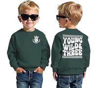 BOUTIKOME 3rd Birthday Boys Sweatshirt Young WILD Three Print Pullover Siblings Kids Long Sleeve Shirt Baby Outfits Third Birthday Jumper Autumn Winter Baby Clothing, dark green, 3 Jahre