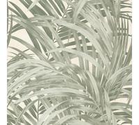 Boutique Congo Wallpaper | Forest