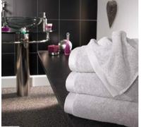 Boutique Ultimate Luxury 750gsm Towels (Silver, Bath Towel Single)