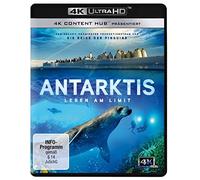 Bouvier,Jérôme - Antarktis - Leben am Limit: 4K Ultra HD Blu-ray