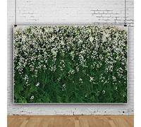Bovlleetd 10x8ft Daisy Flower Wall Photography Background Bridal Shower Anniversary Decoration Backdrop Newborn Baby Shower Party Supplies Banner for Birthday Party Decoration
