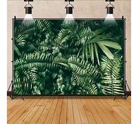 Bovlleetd 10x8ft Tropical Plant Palm Leaves Photography Background Green Leaves Tropical Rainforest Botanical Backdrop Summer Jungle Theme Photography Shoot Props