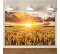Bovlleetd 3x2.5m Fall Wheat Field Backdrop Autumn Harvest Golden Stalks Ripe Wheat Photography Background for Photo Booth Props Harvest Nature Party Decors