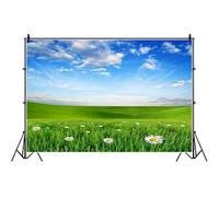 Bovlleetd 5x3ft Sky Blue White Cloud Backdrop Charming Spring Natural Scenery Background Cloth Green Lawn Daisy Flowers Photography Background YouTube Portrait Photo Props Vinyl