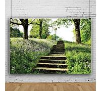 Bovlleetd 5x3ft Spring Forest Photography Background Green Grass Purple Flowers Backdrop Stone Steps Staircase Background Spring Path Scenery Photography Backdrop for shot Prop