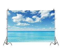 Bovlleetd 5x4ft Seaside Backdrop Blue Sky White Clouds Scene Blue Sea Summer Holiday Photography Background Hawaii Sea Beach Vinyl Background for Kids Adults Portraits Travel Vacation Banner Decor