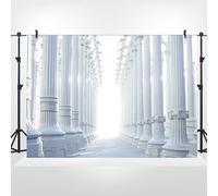 Bovlleetd 7x5ft Greece Pillar Backdrop Vinyl White Elegant Palaces Marble Pillar Photography Background Travel Vacation Backdrop for Wedding Birthday Kids Costume Party Photo Studio Props