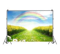 Bovlleetd 7x5ft Rainbow Nature Background Spring Greenery Rustic Fields Pathway Landscape Daisy Floral Photography Backdrop Newborn Baby Adults Portrait Photo Studio Props Vinyl