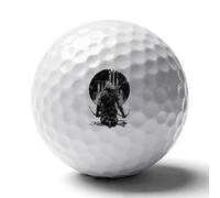 Bow Hunting Hunter Archery U.S. Flag Golf Balls Rubber Practice for Training for Backyard Beginner